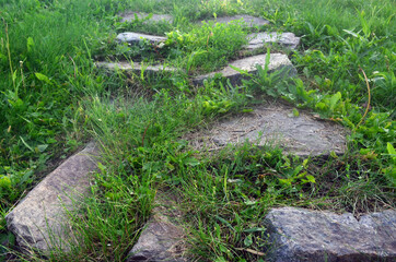 Stone steps in the green grass. Ladder in the forest.