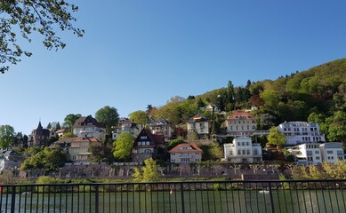 Obraz premium The scenery of the Heidelberg River, Germany