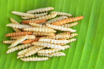 Bamboo worms fried insects with salt protein food.This local popular in Thai food.