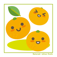 なちゅらるズ　柑橘系果実で収穫のご案内