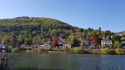 Fototapeta na wymiar The scenery of the Heidelberg River, Germany