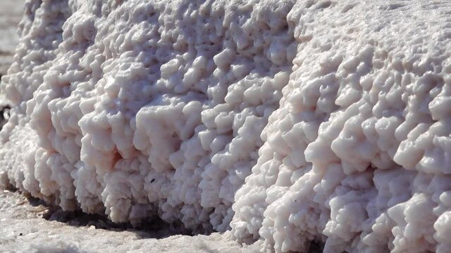 Salt lake, salt crystals. Self-settling salt covers the stones. Hypersaline water in a drying lake, an environmental problem. Black Sea, Ukraine