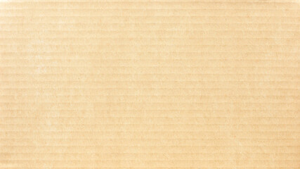 Fototapeta na wymiar Carton box package brown paper texture with lines 