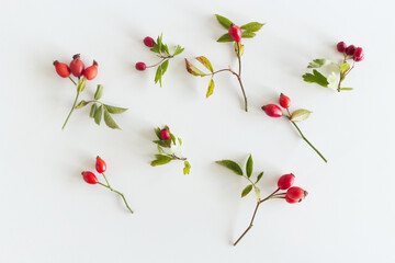 Autumn composition with red rose-hips on white table background. Fall, Halloween and Thanksgiving design. Flat lay, top view.