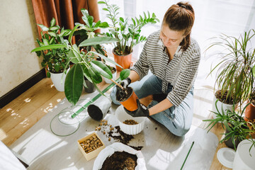 woman transplanting flowers in bigger pots at home