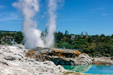 Pohutu Geyser erupting with hot pool