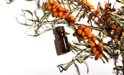 hippophae yellow berries  and hippophae oil on white background