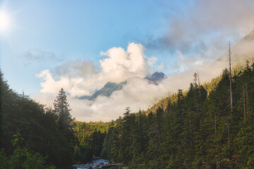Wally Creek in Port Alberni, Vancouver Island, British Colombia, Canada