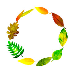 Wreath of watercolor illustrations of autumn leaves on a white