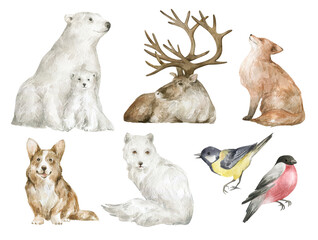 Watercolor set with winter animals. Polar bear, reindeer, red fox, corgi, arctic fox, tit and bullfinch in realistic style. Hand painted wildlife illustration isolated on white background. © Kate K.