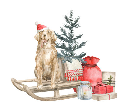 Watercolor illustration with golden retriever dog and Christmas tree on the sleigh. Winter aesthetic, red santa bag with presents, candle and gift boxes. 
