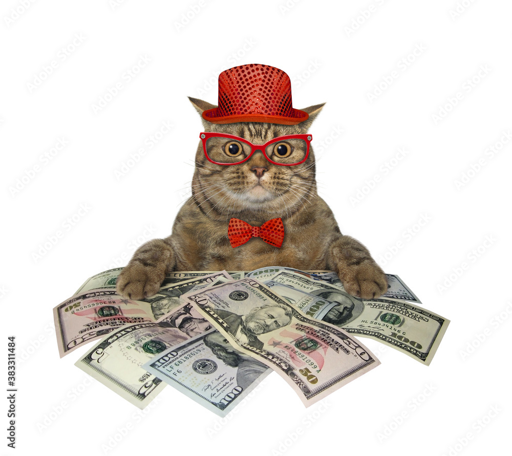 Wall mural the beige big eyed cat in a red bow tie and glasses is sitting near a pile of dollars. white backgro