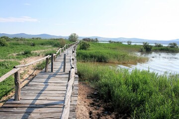 Fototapeta na wymiar wooden hiking trail, Lake Vrana, near Zadar, Croatia