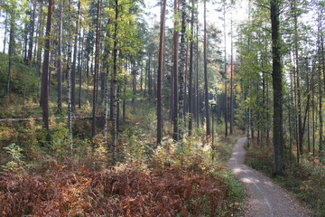 Topeliuksenpolku, Punkaharju, Finland