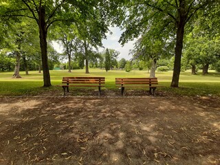 Fototapeta premium stylish and modern bench for the garden