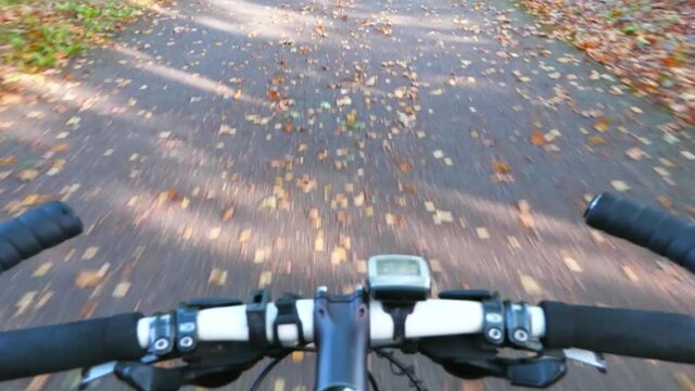 Hyperlapse POV view of biker. One caucasian children ride bike road in autumn park. Rdding black white mtb cycle in forest.