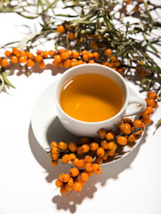 sea buckthorn tea with sea buckthorn on a white background