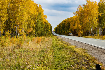 Naklejka premium Highway between a beautiful yellow autumn forest, where a car passes at speed.