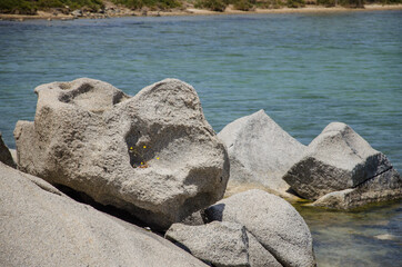 bizarre Felsen am Mittelmeerstrand auf Sardinien