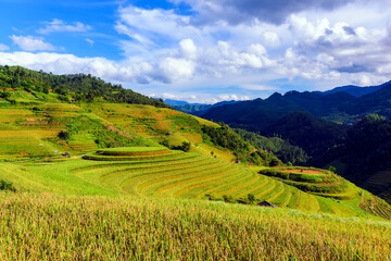 The most of  famous terraced rice paddy in Mu Cang Chai, Yen Bai province, Vietnam.