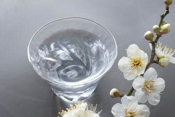日本酒と梅の花
