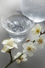 日本酒と梅の花