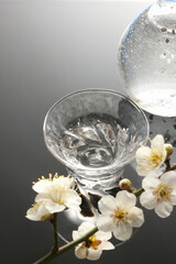 日本酒と梅の花