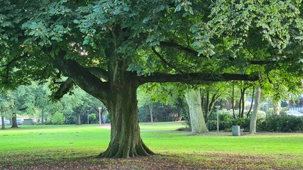 kurpark bad zwischenahn