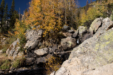 Fototapeta na wymiar Autumn in Rocky Mountain National Park