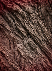 Trunk texture
