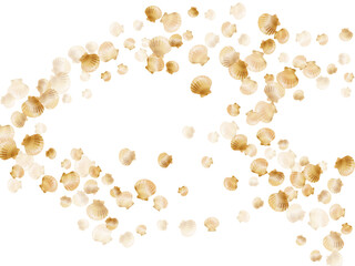 Gold chic seashells vector illustration, marine mollusks shells
