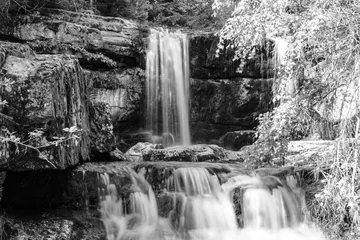 Foto auf Acrylglas Schwarz und weiss Wilder Wald Wasserfall