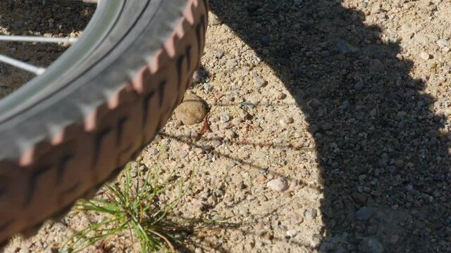 Mountain Bike Wheel Spinning After Falling Close-up