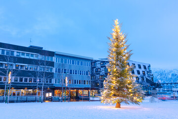 Christmas Tree in Tromso  Norway, Tromso At Winter Time, Christmas in Tromso,