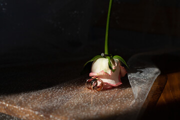 rose and wedding rings