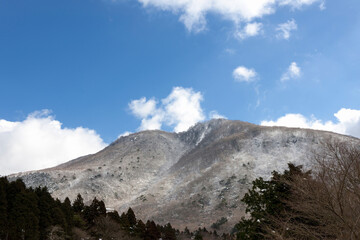 Fototapeta premium 箱根の山