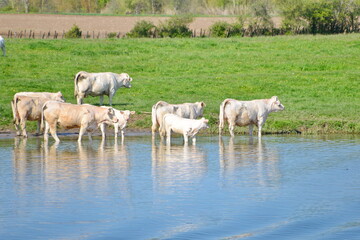 Obraz premium Frankreich, #3829