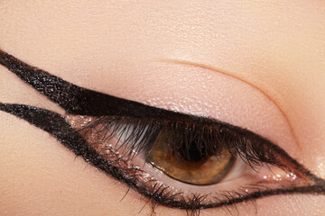Beautiful Macro Shot of Female Eye with Classic Eyeliner Makeup. Perfect shape of eyebrows....