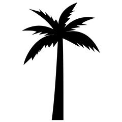 Obraz premium Shady tropical tree grown in hot weather 