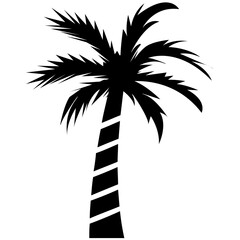 Obraz premium Shady tropical tree grown in hot weather 