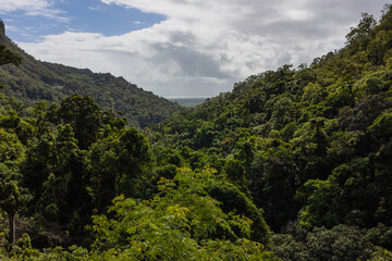 Obraz premium Rainforest Covered Mountains in Australia