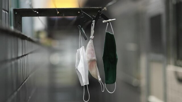 Protection face mask drying after use. Hanging washable masks