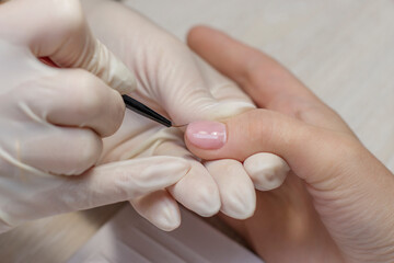 Female manicure in the salon. Coating nails with pink transparent gel polish.