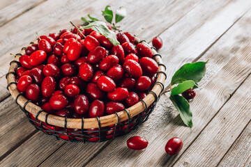 Dogwood berry in a basket. Ripe red cornel on rustic wooden background. Selective focus