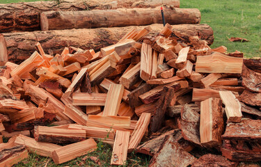 Firewood is stacked in autumn. Chopped pile of wood. Lots of wood from logs. Preparation of firewood for the winter. background texture pattern with stacked dry chopped firewood. Trees in the sawmill