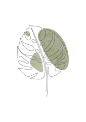 Exotic monstera continuous one line drawing summer tropical leaf hand drawn on white background minimalist design © DaisyArt