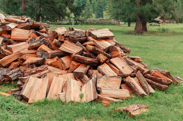 Firewood is stacked in autumn. Chopped pile of wood. Lots of wood from logs. Preparation of firewood for the winter. background texture pattern with stacked dry chopped firewood. Trees in the sawmill