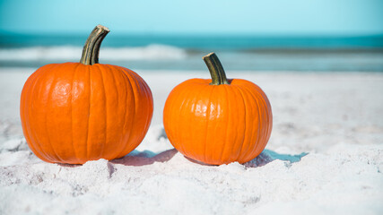Pumpkin on the beach. Two pumpkins on sand beach shore. On background turquoise ocean water. Autumn...