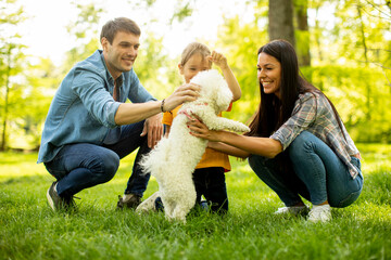 Beautiful happy family is having fun with bichon dog outdoors
