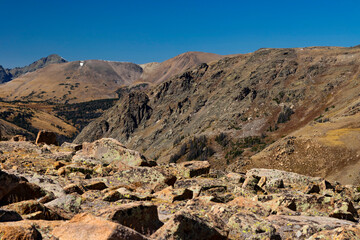 Alpine Glory on Trail Ridge Road Colorado